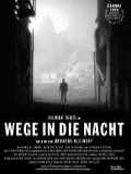 voir la fiche complète du film : Chemins dans la nuit