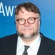 Voir les photos de Guillermo del Toro sur bdfci.info