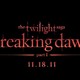 photo du film Twilight - Chapitre 4 : Révélation, partie 1