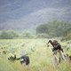 photo du film Wine Calling - Le vin se lève