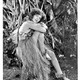 photo du film Hula
