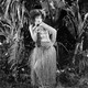 photo du film Hula