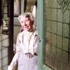 photo du film Tueurs de dames