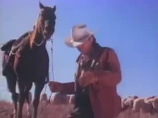 Extrait vidéo du film  Roswell, le mystère