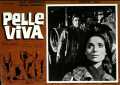 voir la fiche complète du film : Pelle Viva