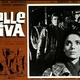 photo du film Pelle Viva