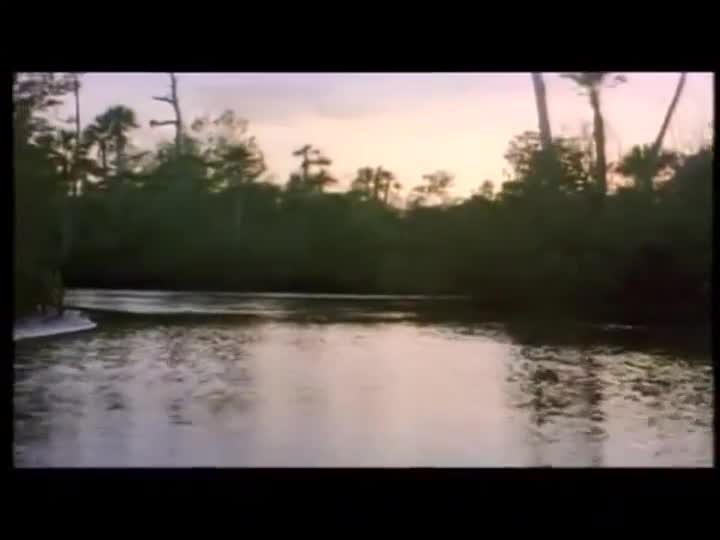 Extrait vidéo du film  Les nerfs à vif