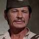 photo de Charles Bronson