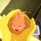photo du film Les P'tits explorateurs