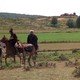 photo du film La Rose et la Flèche