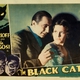 photo du film Le Chat noir