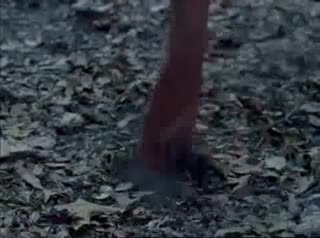 Extrait vidéo du film  L Ecorché