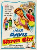 voir la fiche complète du film : Grève au harem