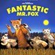 photo du film Fantastic Mr. Fox