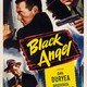 photo du film L'Ange noir