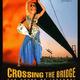 photo du film Crossing the bridge - the sound of Istanbul