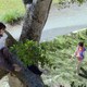 photo du film Cute Girl