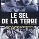 photo du film Le Sel de la Terre