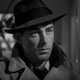 photo de Alan Ladd