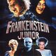 photo du film Frankenstein Junior