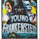 photo du film Frankenstein Junior