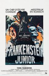 voir la fiche complète du film : Frankenstein Junior