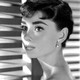 photo de Audrey Hepburn