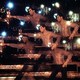 photo du film La Fièvre du samedi soir