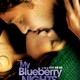 photo du film My blueberry nights