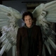 photo du film Dogma
