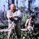 photo du film La Foret interdite