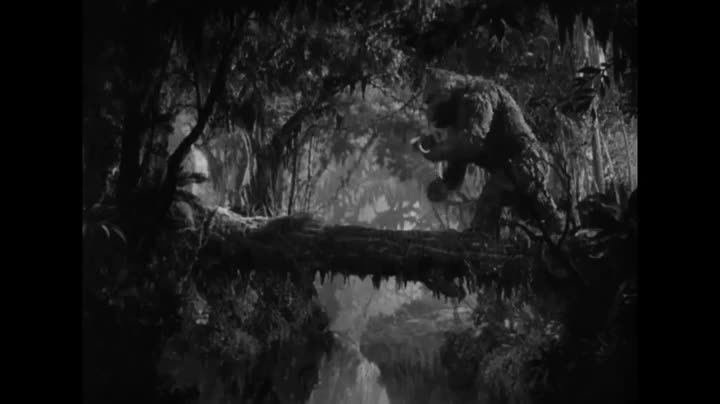 Extrait vidéo du film  King Kong