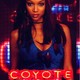 photo du film Coyote girls