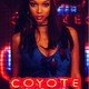 photo du film Coyote girls