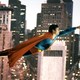 photo du film Superman