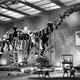 photo du film L'Impossible Monsieur Bébé