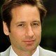 Voir les photos de David Duchovny sur bdfci.info