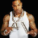 Voir les photos de Busta Rhymes sur bdfci.info