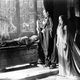 photo du film La Marque du vampire