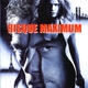 photo du film Risque maximum