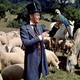 photo du film L'Extravagant docteur Dolittle