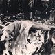 photo du film Vivre et laisser mourir