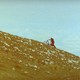 photo du film Les Petites fugues
