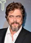 Benicio del Toro