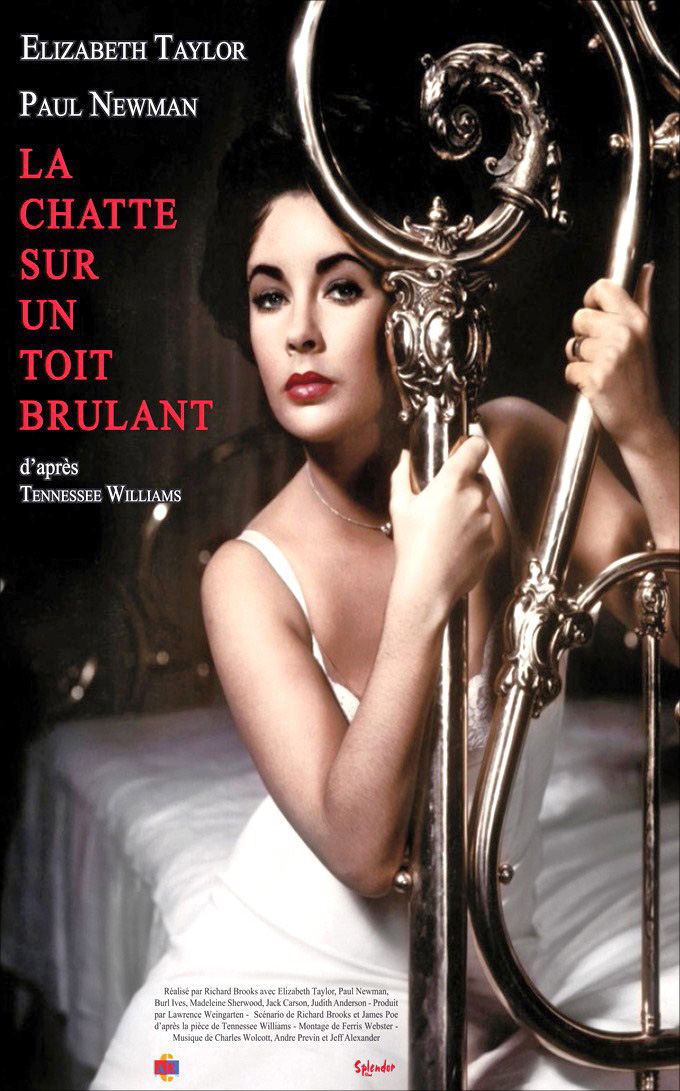 La Chatte Sur Un Doigt Brûlant La Chatte sur un toit brûlant, film de 1958