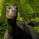 photo du film Dinosaure