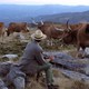 photo du film Volta à terra