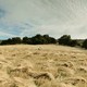 photo du film Volta à terra