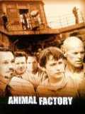 voir la fiche complète du film : Animal Factory