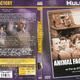 photo du film Animal Factory